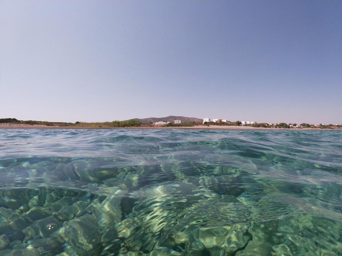 Seashore Beachfront Villa لاخنيا المظهر الخارجي الصورة